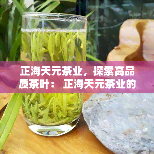 正海天元茶业，探索高品质茶叶： 正海天元茶业的精髓与魅力