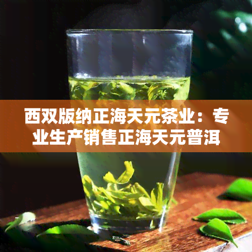 西双版纳正海天元茶业：专业生产销售正海天元普洱茶，品质保证，价格透明，欢迎访问正海天元官网了解更多信息。