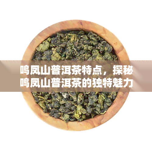 鸣凤山普洱茶特点，探秘鸣凤山普洱茶的独特魅力与特点