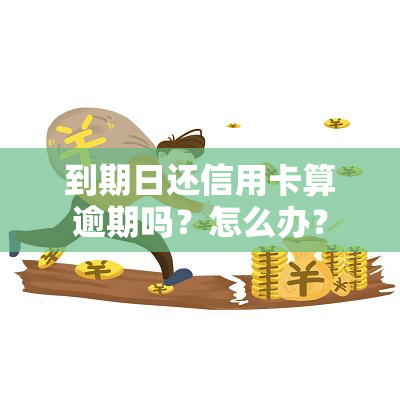 到期日还信用卡算逾期吗？怎么办？