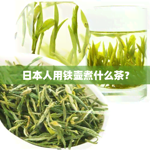 人用铁壶煮什么茶？