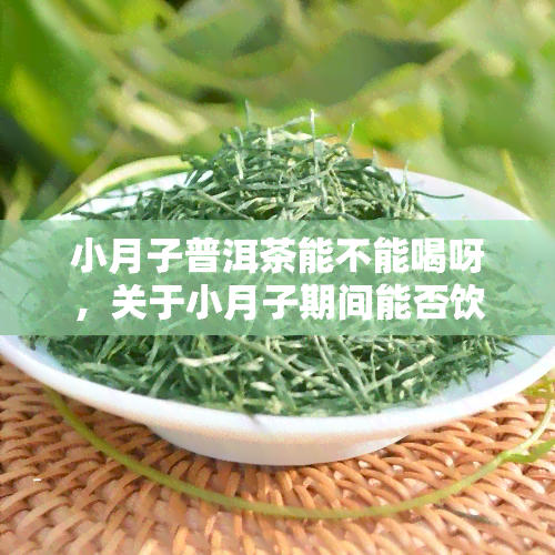 小月子普洱茶能不能喝呀，关于小月子期间能否饮用普洱茶的探讨