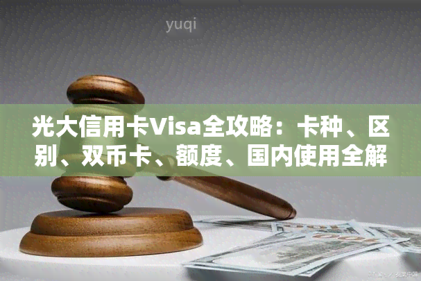 光大信用卡Visa全攻略：卡种、区别、双币卡、额度、国内使用全解析