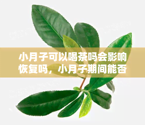 小月子可以喝茶吗会影响恢复吗，小月子期间能否喝茶？对身体恢复有何影响？