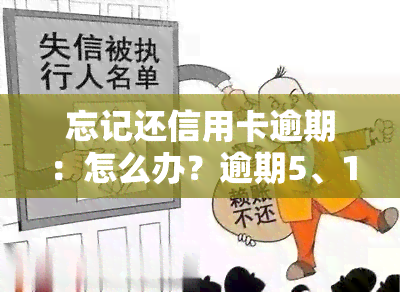 忘记还信用卡逾期：怎么办？逾期5、1、10天及1个月的影响