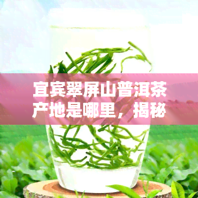 宜宾翠屏山普洱茶产地是哪里，揭秘宜宾翠屏山普洱茶的产地信息！