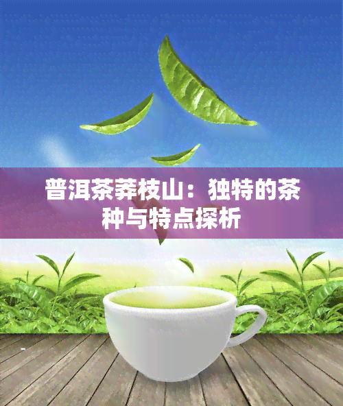 普洱茶莽枝山：独特的茶种与特点探析