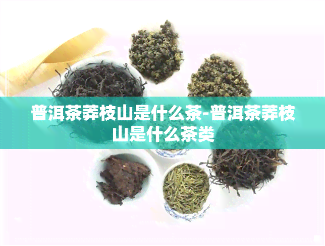 普洱茶莽枝山是什么茶-普洱茶莽枝山是什么茶类