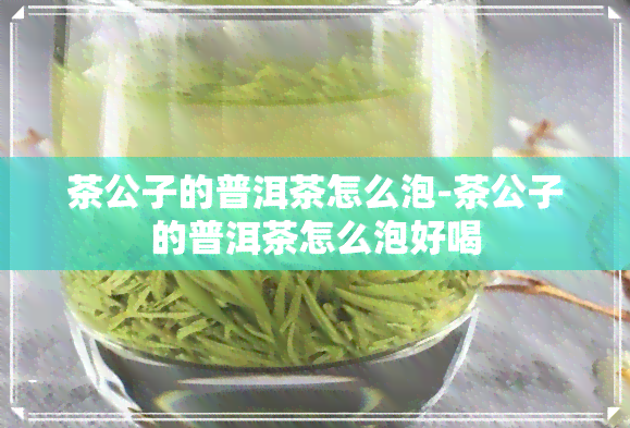 茶公子的普洱茶怎么泡-茶公子的普洱茶怎么泡好喝