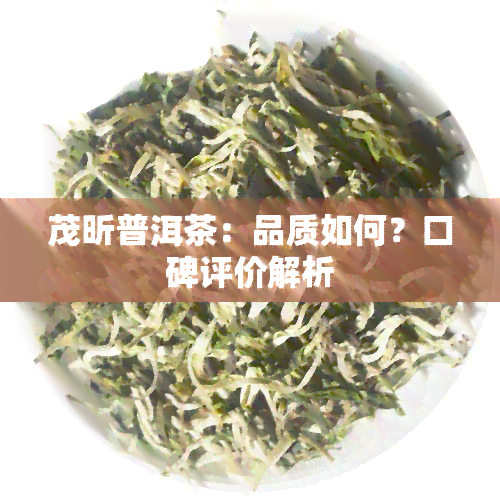 茂昕普洱茶：品质如何？口碑评价解析