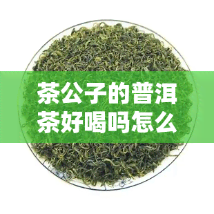 茶公子的普洱茶好喝吗怎么泡，普洱茶爱好者的福音：详解茶公子的普洱茶口感及冲泡技巧