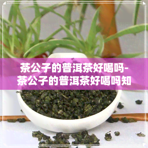 茶公子的普洱茶好喝吗-茶公子的普洱茶好喝吗知乎