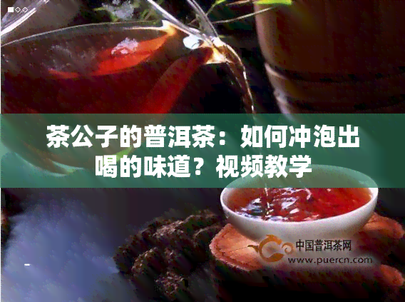 茶公子的普洱茶：如何冲泡出喝的味道？视频教学