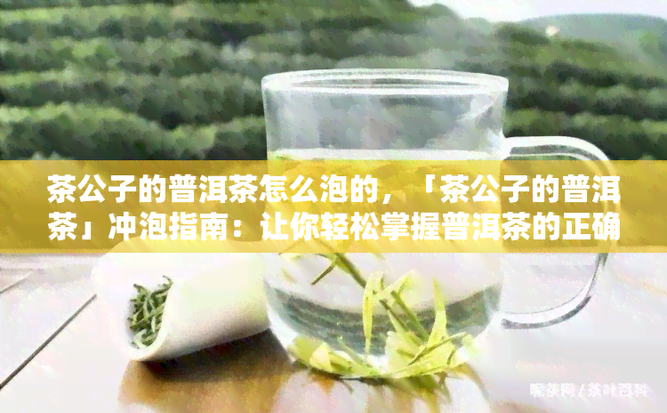 茶公子的普洱茶怎么泡的，「茶公子的普洱茶」冲泡指南：让你轻松掌握普洱茶的正确泡法