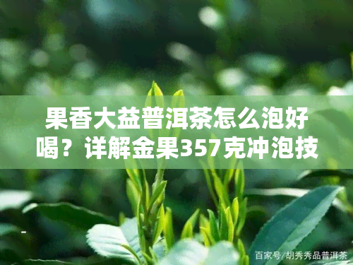 果香大益普洱茶怎么泡好喝？详解金果357克冲泡技巧与方法