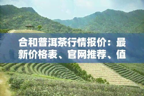 合和普洱茶行情报价：最新价格表、官网推荐、值得收藏的品种、珍藏版2014年及2017年价格、全面评价