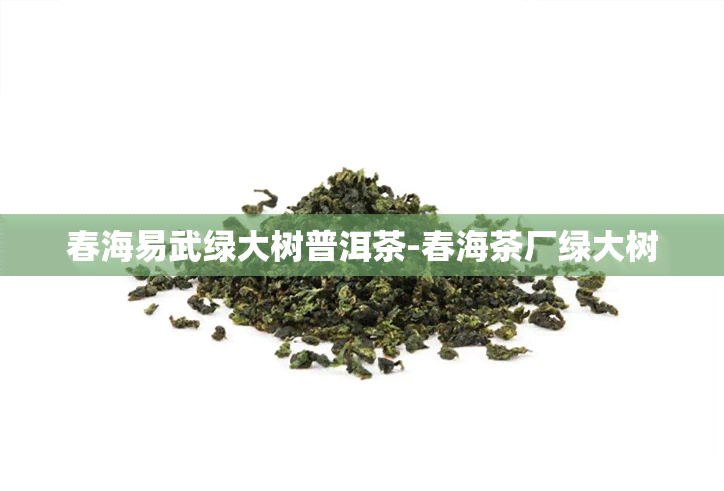 春海易武绿大树普洱茶-春海茶厂绿大树