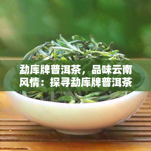 勐库牌普洱茶，品味云南风情：探寻勐库牌普洱茶的魅力