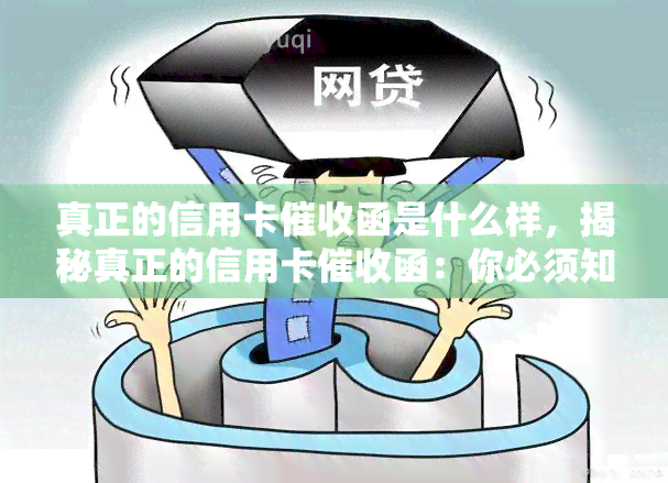 真正的信用卡函是什么样，揭秘真正的信用卡函：你必须知道的特征与样式