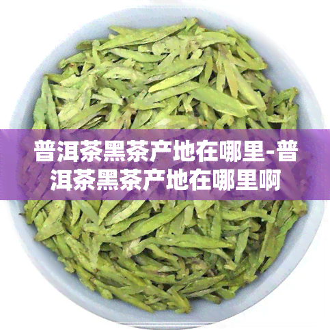 普洱茶黑茶产地在哪里-普洱茶黑茶产地在哪里啊