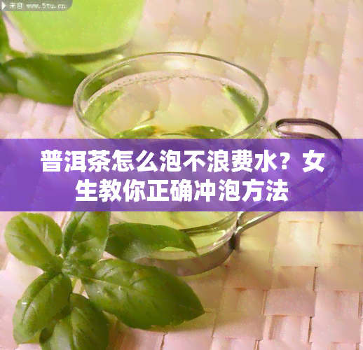 普洱茶怎么泡不浪费水？女生教你正确冲泡方法