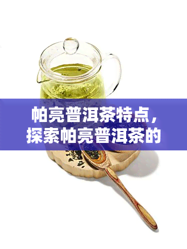 帕亮普洱茶特点，探索帕亮普洱茶的独特魅力：特点解析