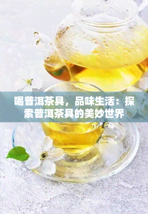 喝普洱茶具，品味生活：探索普洱茶具的美妙世界