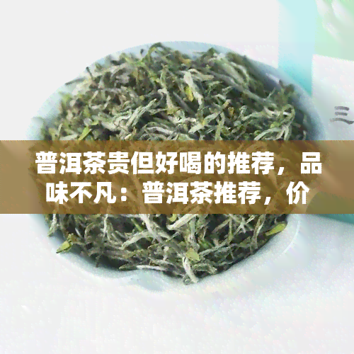 普洱茶贵但好喝的推荐，品味不凡：普洱茶推荐，价格虽高却值得尝试的好口感