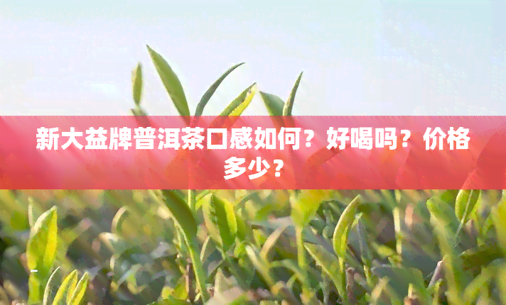 新大益牌普洱茶口感如何？好喝吗？价格多少？