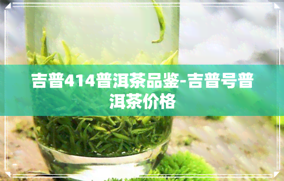 吉普414普洱茶品鉴-吉普号普洱茶价格