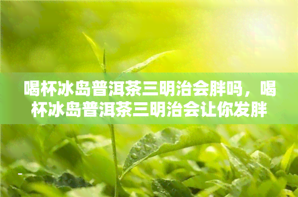 喝杯冰岛普洱茶三明治会胖吗，喝杯冰岛普洱茶三明治会让你发胖吗？