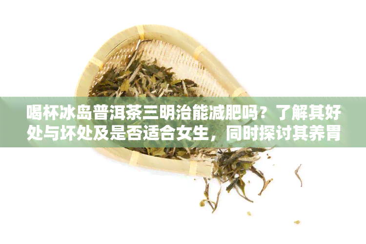 喝杯冰岛普洱茶三明治能减肥吗？了解其好处与坏处及是否适合女生，同时探讨其养胃效果。