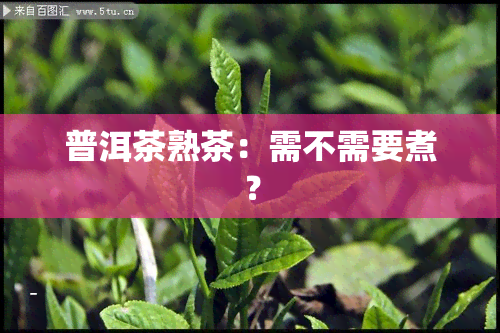 普洱茶熟茶：需不需要煮？