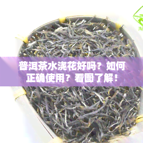 普洱茶水浇花好吗？如何正确使用？看图了解！