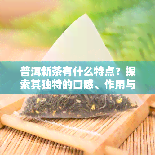 普洱新茶有什么特点？探索其独特的口感、作用与主要特性