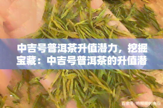 中吉号普洱茶升值潜力，挖掘宝藏：中吉号普洱茶的升值潜力