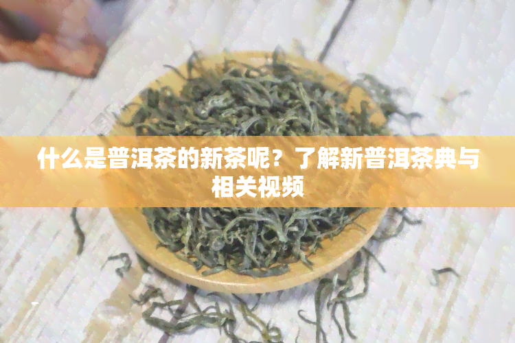 什么是普洱茶的新茶呢？了解新普洱茶典与相关视频