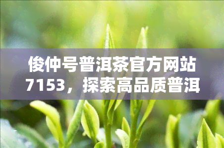 俊仲号普洱茶官方网站7153，探索高品质普洱茶：访问俊仲号普洱茶官方网站7153