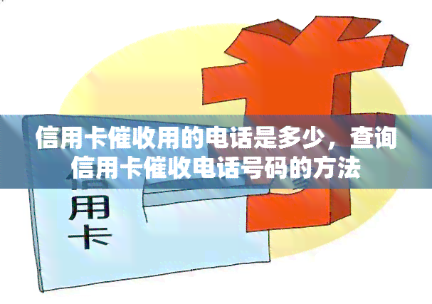 信用卡用的电话是多少，查询信用卡电话号码的方法