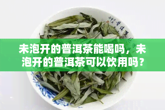 未泡开的普洱茶能喝吗，未泡开的普洱茶可以饮用吗？