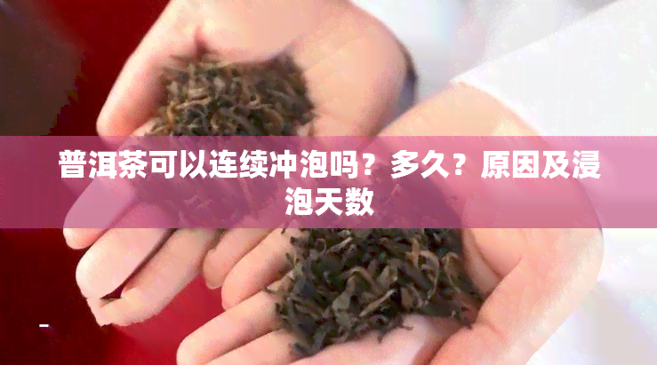 普洱茶可以连续冲泡吗？多久？原因及浸泡天数