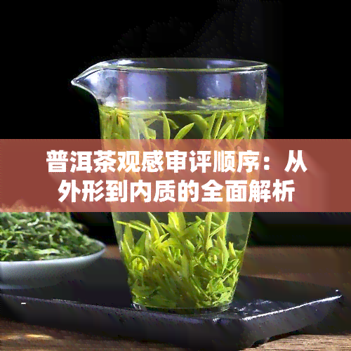 普洱茶观感审评顺序：从外形到内质的全面解析