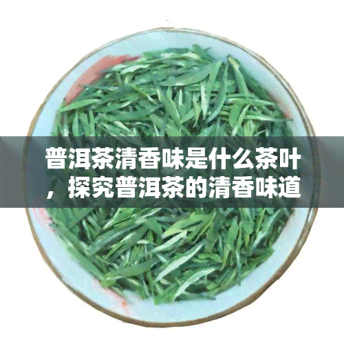 普洱茶清香味是什么茶叶，探究普洱茶的清香味道：它属于哪种茶叶？