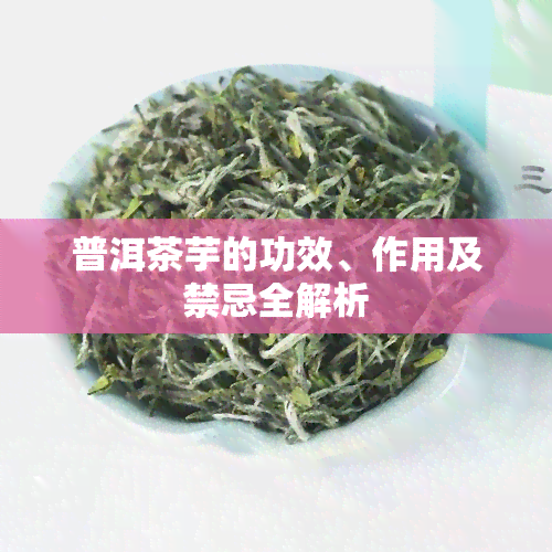 普洱茶芋的功效、作用及禁忌全解析