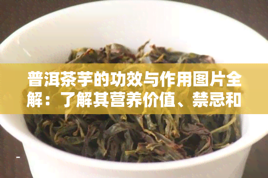 普洱茶芋的功效与作用图片全解：了解其营养价值、禁忌和泡法