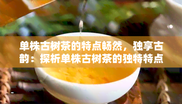 单株古树茶的特点畅然，独享古韵：探析单株古树茶的独特特点与魅力