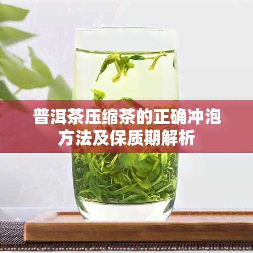 普洱茶压缩茶的正确冲泡方法及保质期解析