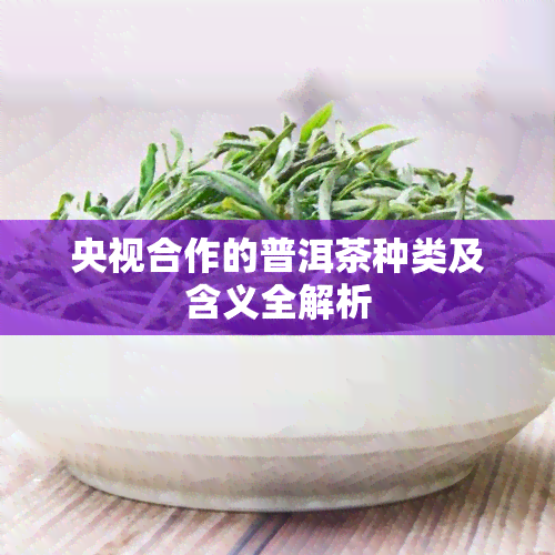 央视合作的普洱茶种类及含义全解析