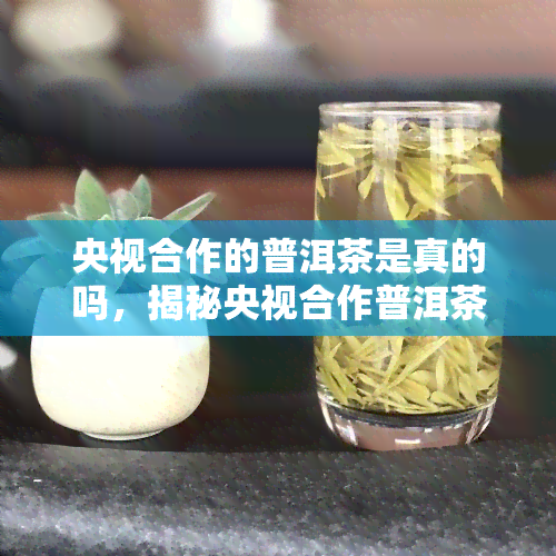 央视合作的普洱茶是真的吗，揭秘央视合作普洱茶：真假如何辨别？