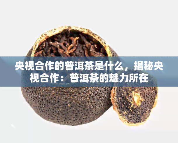 央视合作的普洱茶是什么，揭秘央视合作：普洱茶的魅力所在